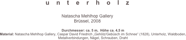 u    n    t    e    r    h    o    l    z

Natascha Mehlhop Gallery
Brüssel, 2008

Durchmesser: ca. 5 m,  Höhe ca. 4,5 m
Material: Natascha Mehlhop Gallery, Caspar David Friedrich „Gehölz/Gebüsch im Schnee“ (1828), Unterholz, Waldboden, Metallverbindungen, Nägel, Schrauben, Draht





